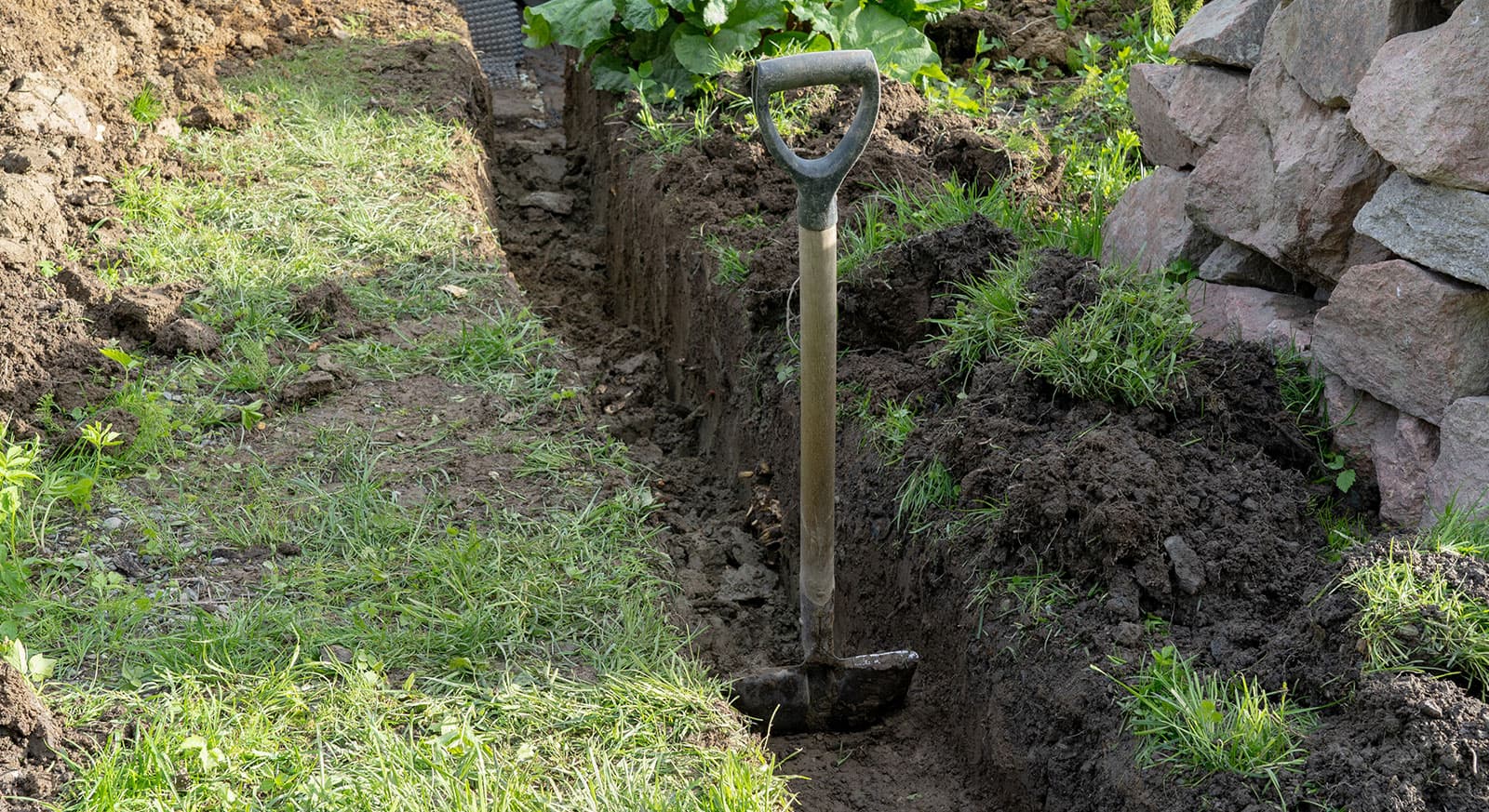 Backyard Swamp Remediation with Custom French Drain Installation