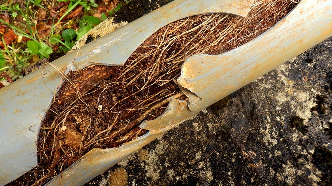 Tackling Sewer Odor Issues: Effective Solutions for Commercial Properties in Fort Wayne, IN
