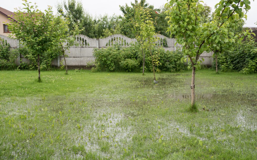 How to Fix Yard Drainage Problems
