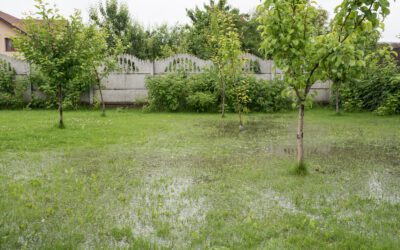 How to Fix Yard Drainage Problems